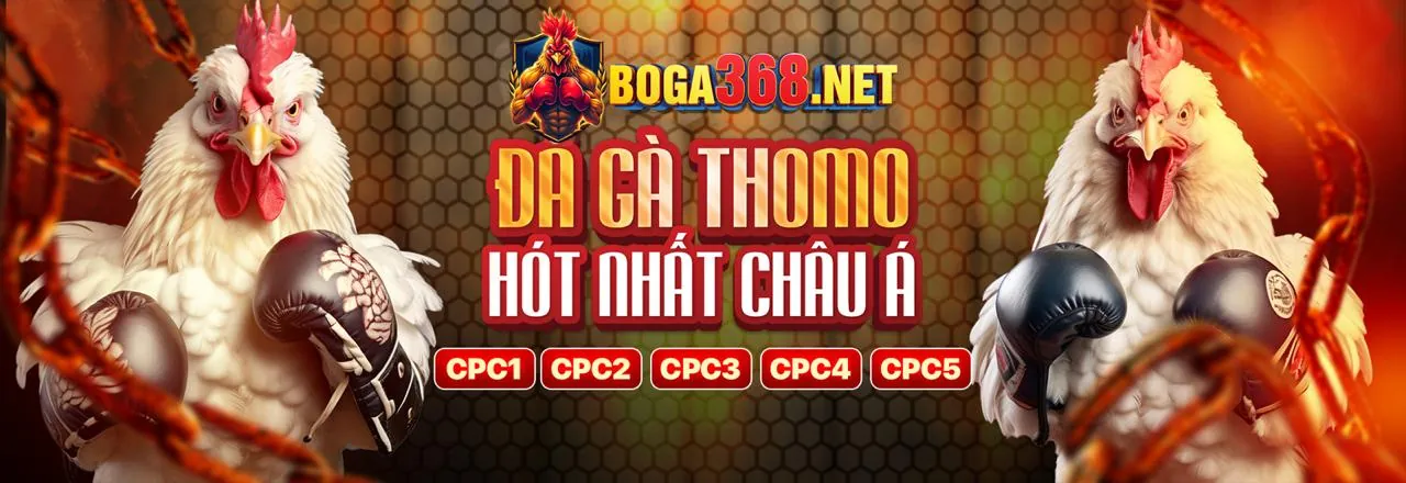 Kêu gọi hành động đối tác e28vn