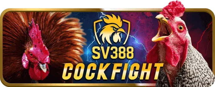 Đội ngũ hỗ trợ khách hàng e28vn