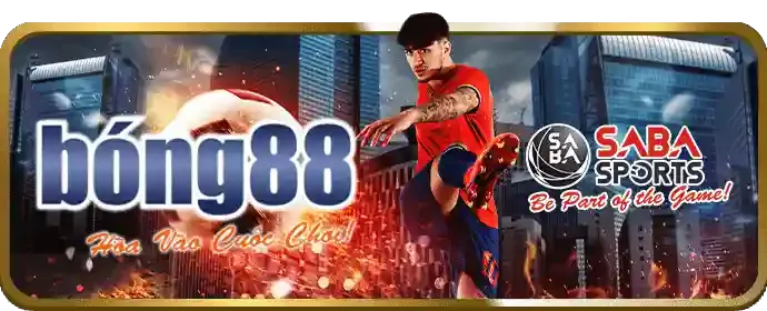 Thông tin cá nhân được thu thập